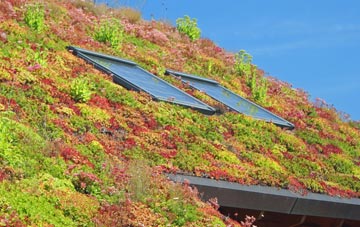 Corby living roof systems